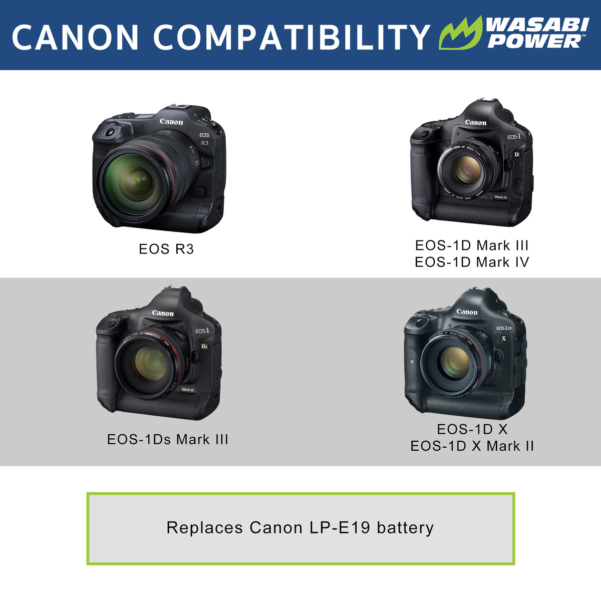 Canon Battery Charger LC-E19 (LP-E19, LP-E4, LP-E4N) at KEH Camera