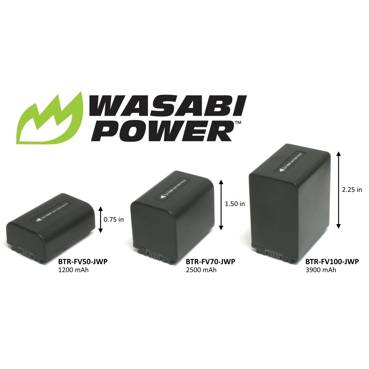 Sony NP-FV100 Battery (2-Pack) and Charger by Wasabi Power