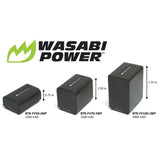 Sony NP-FV100 Battery (2-Pack) and Charger by Wasabi Power
