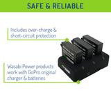GoPro HERO4, AHDBT-401 Battery (2-Pack) and Triple Charger by Wasabi Power