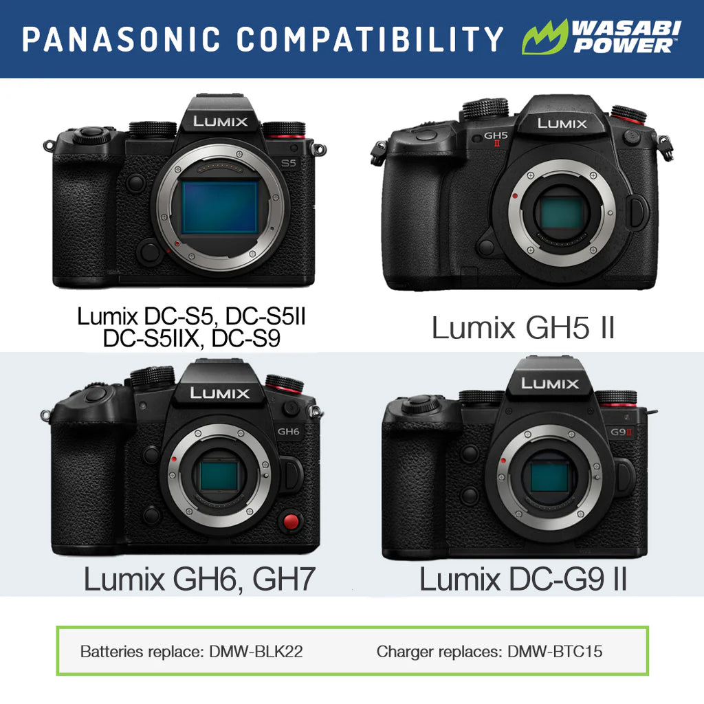 Panasonic DMW-BLK22 ×2 +SIGMA BP-61 ×1 Panasonic DMW-BLK22 Battery (2-Pack) and USB-C Dual Charger by