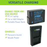 Panasonic DMW-BLC12 Battery (2-Pack) and USB Dual Charger by Wasabi Power