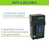 Panasonic DMW-BCG10 Battery (2-Pack) and Charger by Wasabi Power