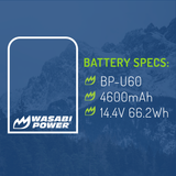Sony BP-U60 Battery (2-Pack) by Wasabi Power