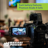 Sony NP-FV30, NP-FV40, NP-FV50 Battery (2-Pack) and Charger by Wasabi Power