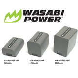 Sony NP-FP50, NP-FP30 Battery by Wasabi Power