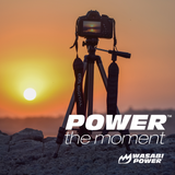 Canon BP-110 Battery (2-Pack) and Charger by Wasabi Power