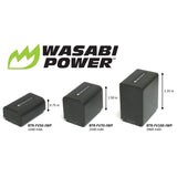 Sony NP-FV30, NP-FV40, NP-FV50 Battery (2-Pack) by Wasabi Power