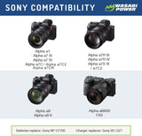 Sony NP-FZ100, BC-QZ1 Dual Charger by Wasabi Power