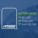Sony BP-U60 Battery by Wasabi Power