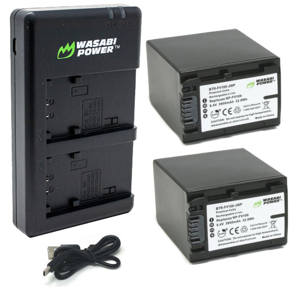 Sony NP-FV100 Battery (2-Pack) and Dual Micro USB Charger by Wasabi Power