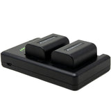 Sony NP-FV30, NP-FV40, NP-FV50 Battery (2-Pack) and Dual Flat Charger by Wasabi Power